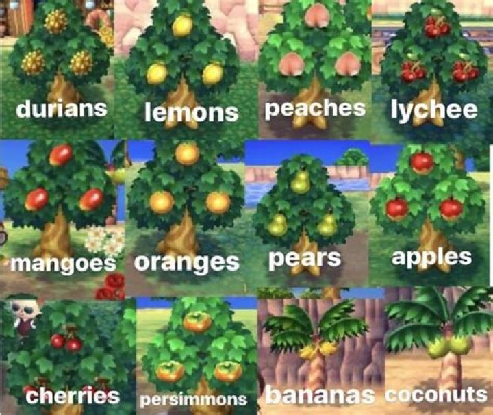 AC New Horizons How to Get Coconut Trees