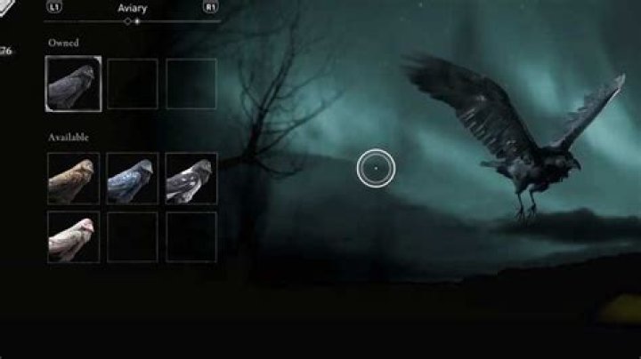 AC Valhalla: How To Customize Raven