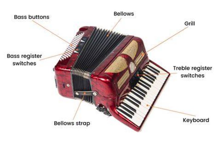 Accordion Anatomy — Quiz Statistics
