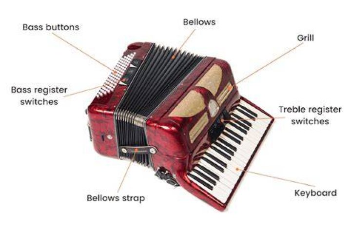 Accordion Anatomy
