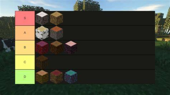All Minecraft Wood Types, Ranked