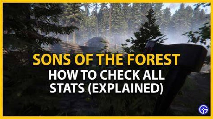All Stats in Sons of the Forest, Explained