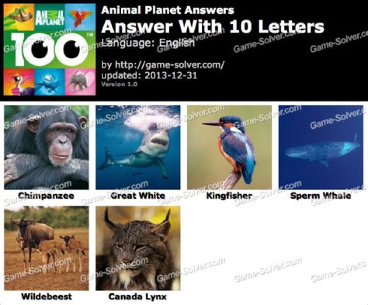 Animal Planet 10 Letters Animal Planet 10 Letters