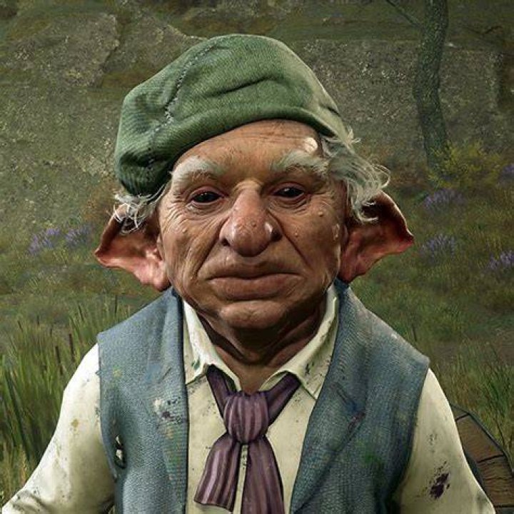 Arn in Hogwarts Legacy Ingredients and Potions Trader - Hogwarts Legacy