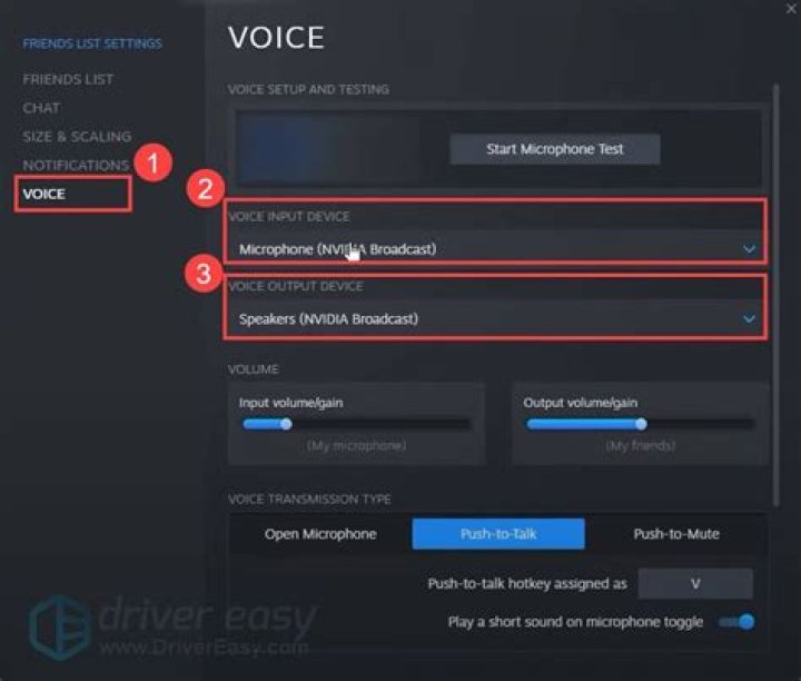 Back 4 Blood voice chat bug