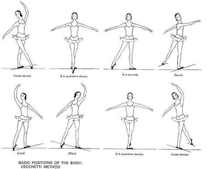 Ballet Body Facings