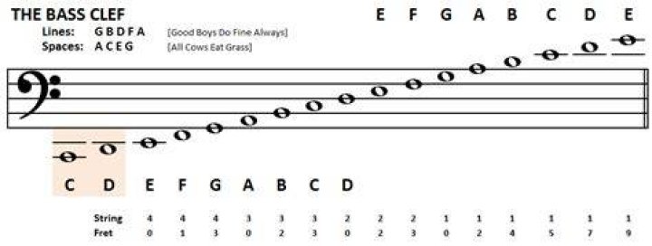 Bass Clef Notes