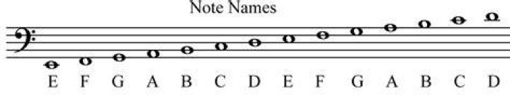 Bass Clef Staff Notes