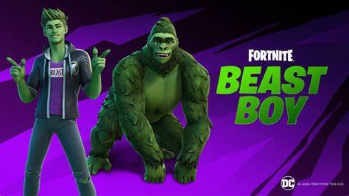 Beast Boy skin