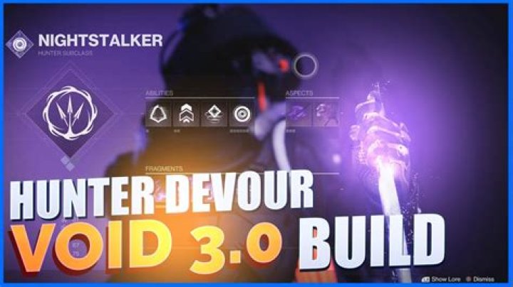 Best Void 3.0 build for Hunters: Destiny 2