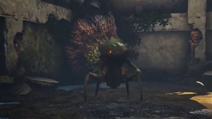 Biocontaminated Creep