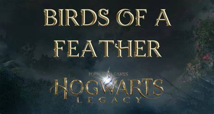 Birds of a Feather Hogwarts Legacy Side Quest