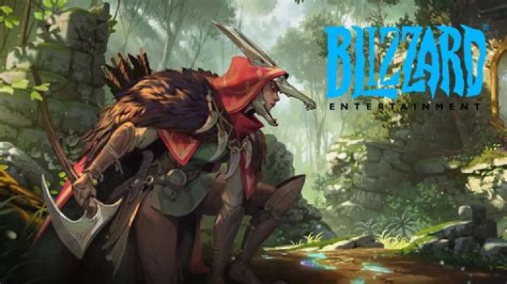 Blizzard's Survival Game May Have Co-op Elements