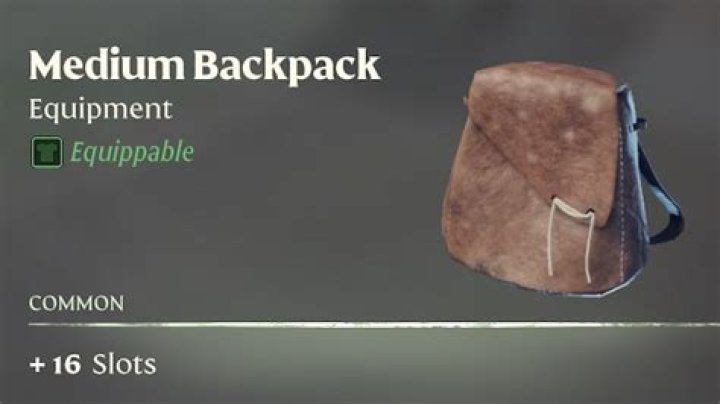 Borderlands 3 Guide How To Upgrade Backpack