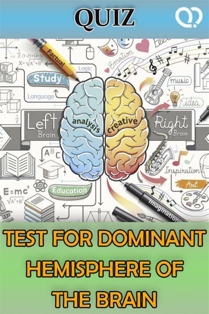 Brain Quiz