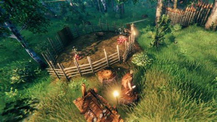 Breed boars in Valheim