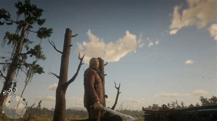 broken pirate sword rdr 2 location