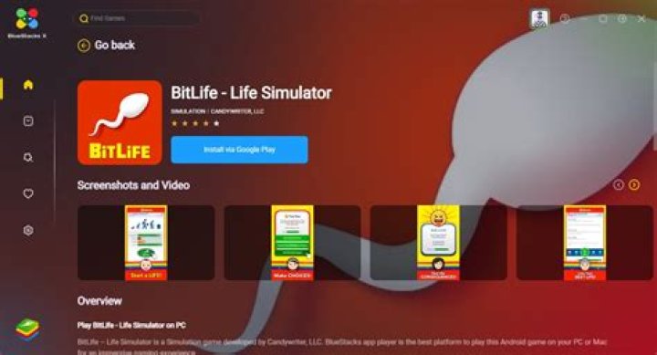 Can BitLife be played on PC?