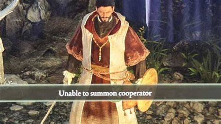 cannot summon coop partner