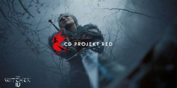 CD Projekt defends Witcher 2 difficulty