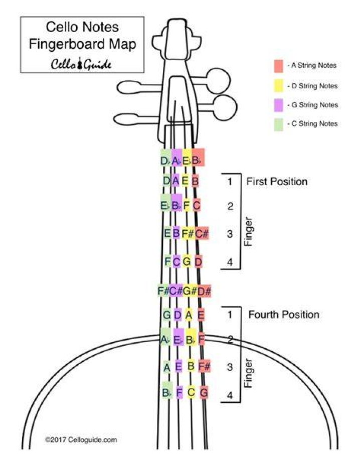 Cello Notes on Fingerboard