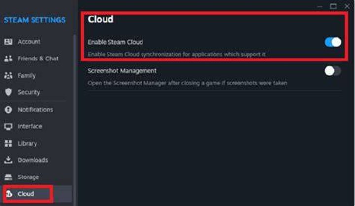 Checking if Steam Cloud is active for Dead Cells