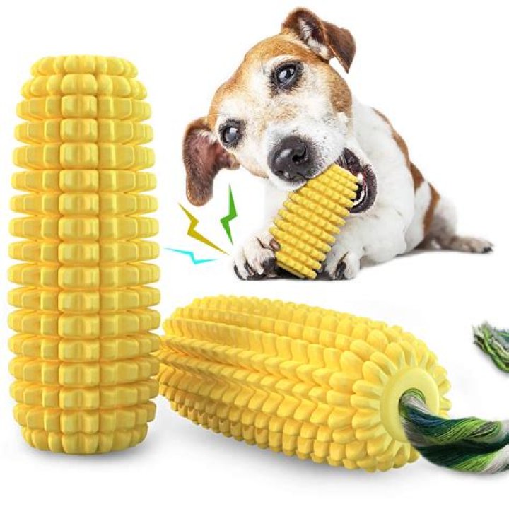 Chew Toy