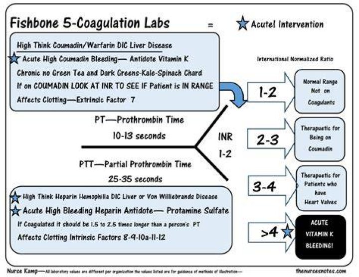 Coagulation Fishbone Quiz