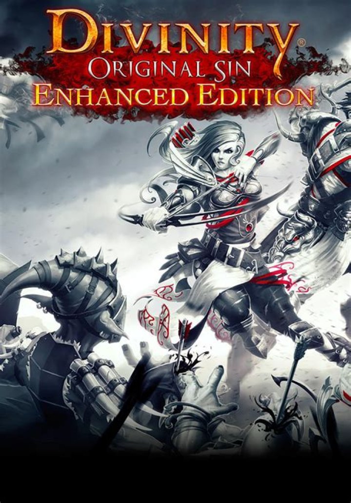 
Divinity: Original Sin Enhanced Edition Now Available For Mac