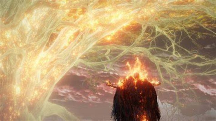 
Elden Ring: How to Help the Talking Tree