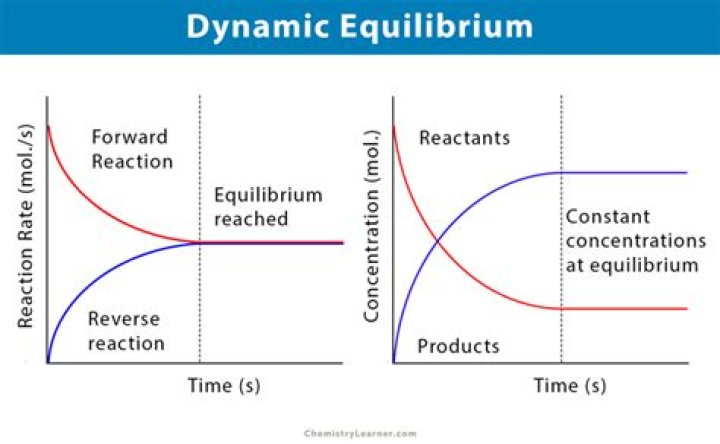 Equilibrium
