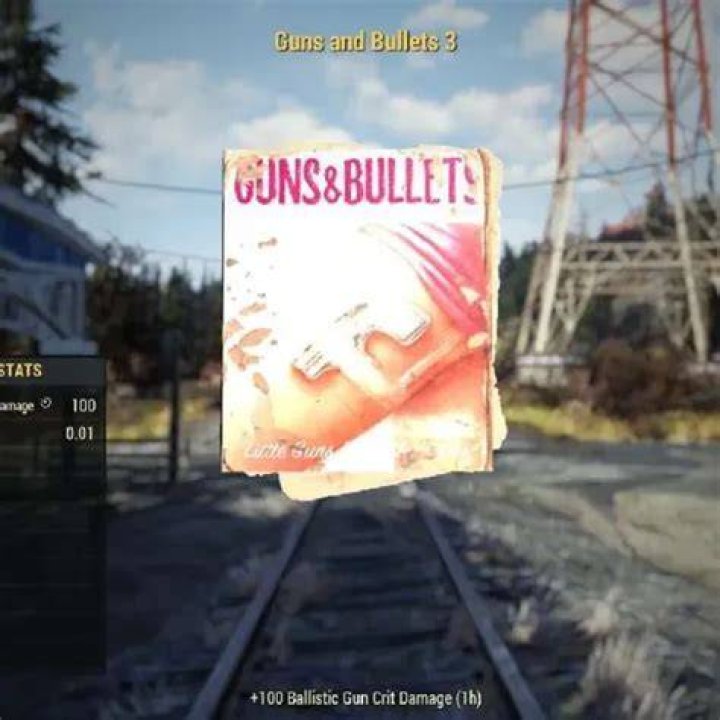 Fallout 76 - Guns and Bullets Magazines in Fallout 76
