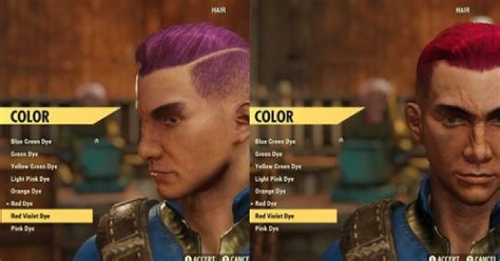 Fallout 76 modding has begun