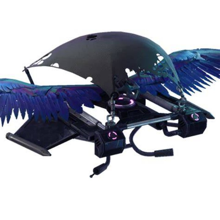 Feathered Flyer