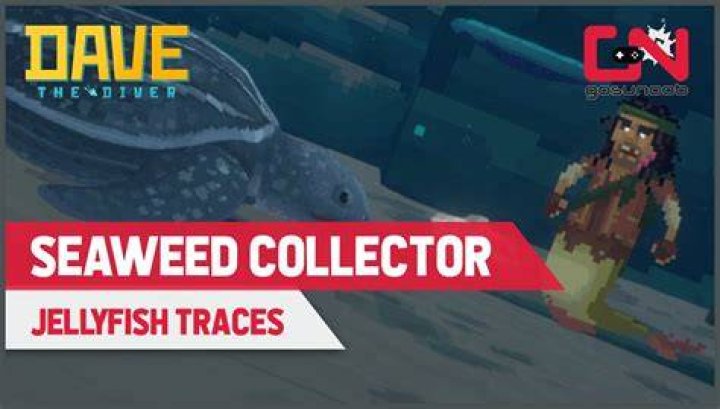 Finding the Seaweed Collector in Dave the Diver Complete Guide