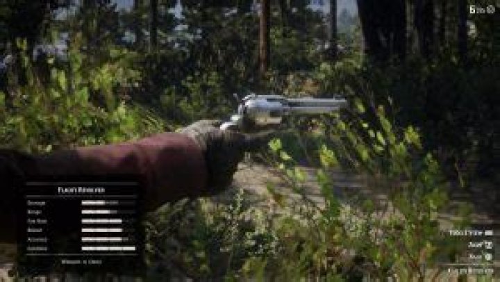 flaco revolver rdr 2 location