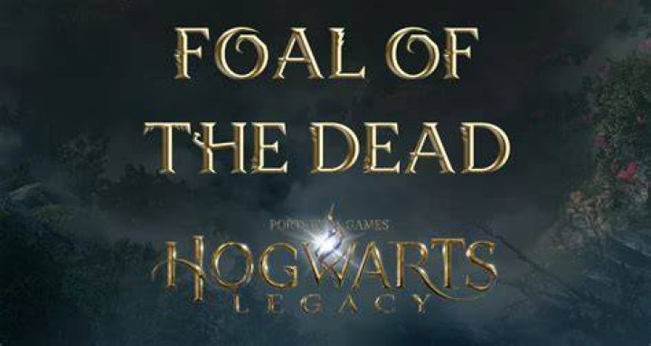 Foal of the Dead Hogwarts Legacy Side Quest