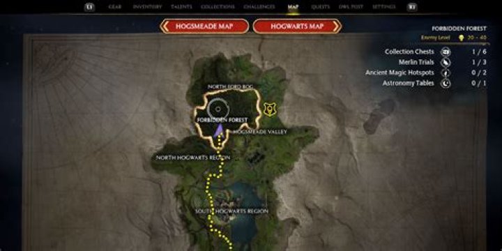 Forbidden Forest Location