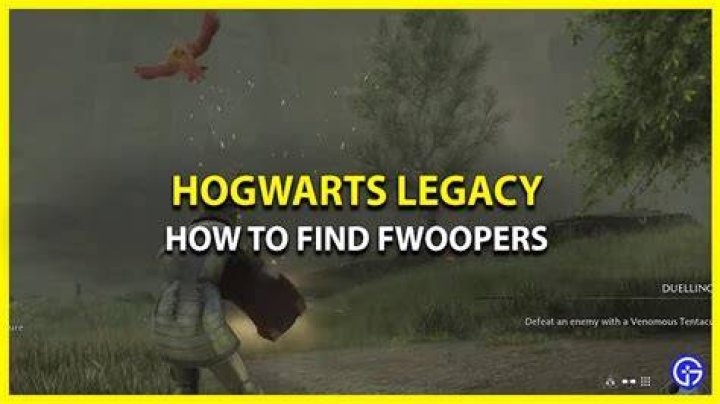 Fwooper Feathers Hogwarts Legacy