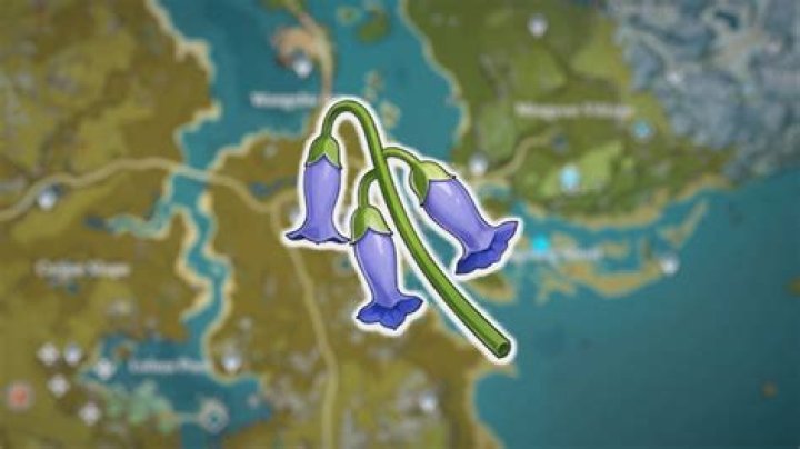 Genshin Impact: Where to find Violetgrass