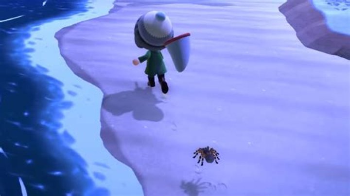 Get Infinite Tarantula in Animal Crossing New Horizons