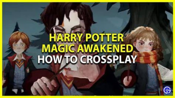 Harry Potter Magic Awakened Crossplay, Explained