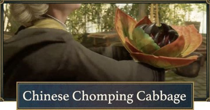 Hogwarts Legacy - How to get Chinese Chomping Cabbage ..