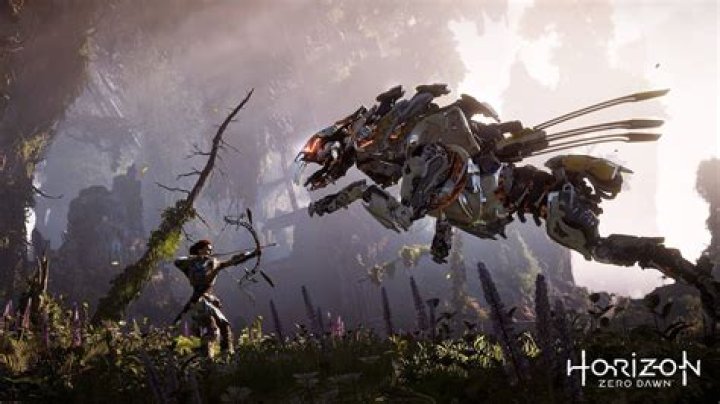 Horizon Zero Dawn PC Wide-Screen Monitor Support