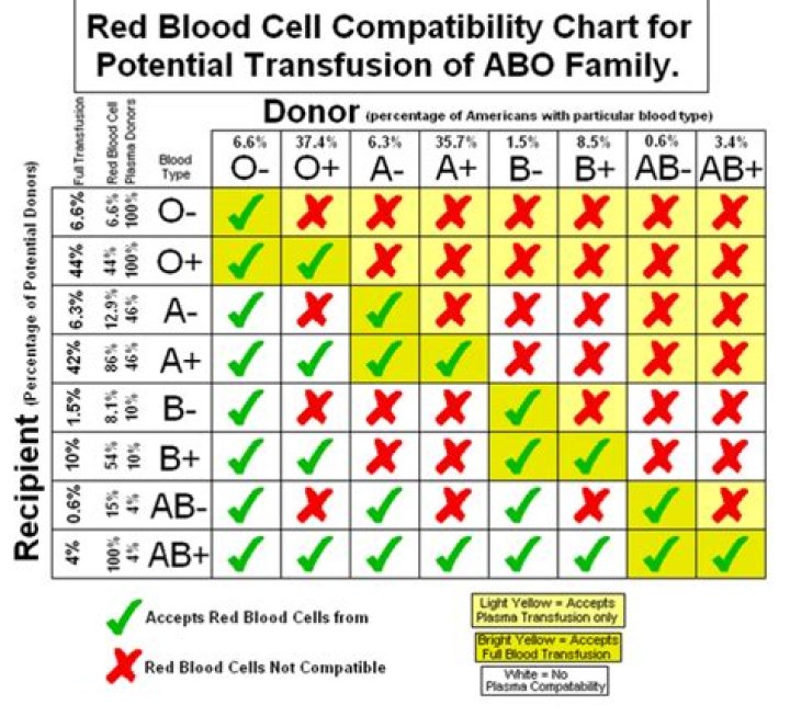 how blood type and quality works in v rising explained