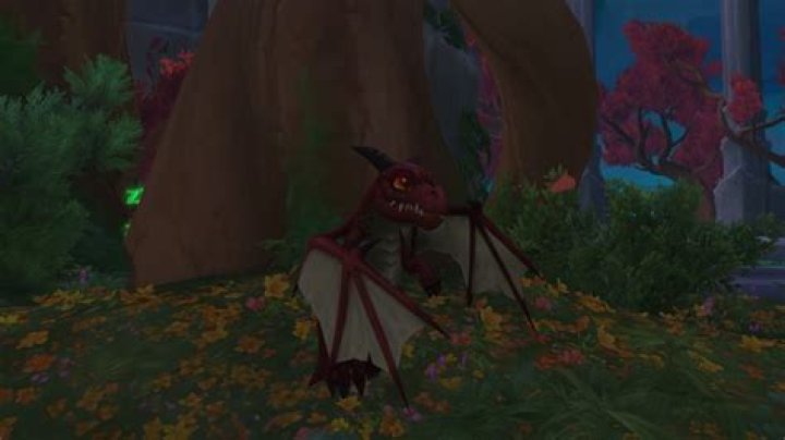 How Does The Ruby Whelp Shell Work in World of Warcraft Dragonflight?