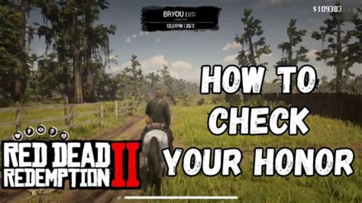 How Red Dead Redemption 2 Honor meter work and how to change it?