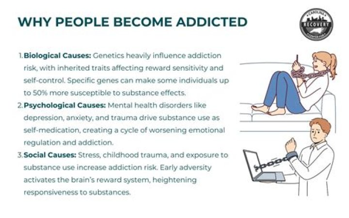 How To Become Addicted To Alcohol Bitlife gatsby challenge