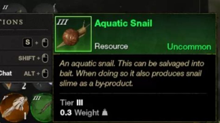 How to catch a snail in New World