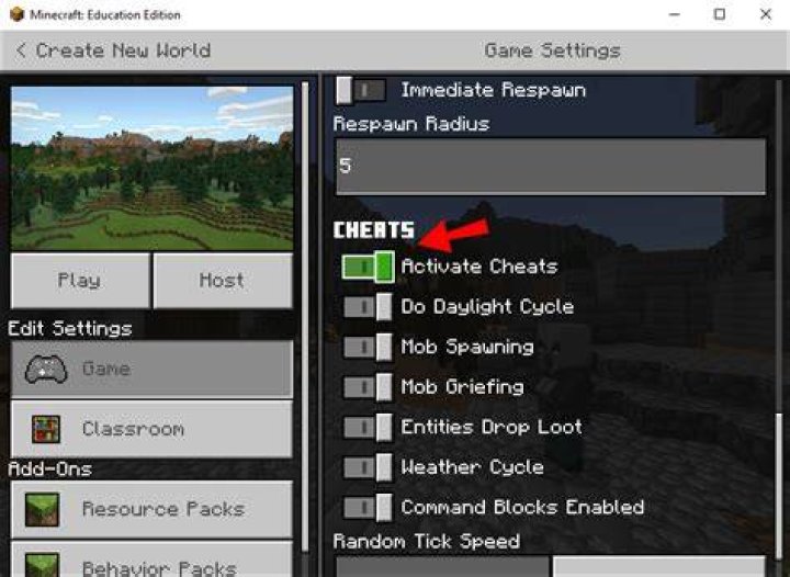 how to enable cheats in minecraft